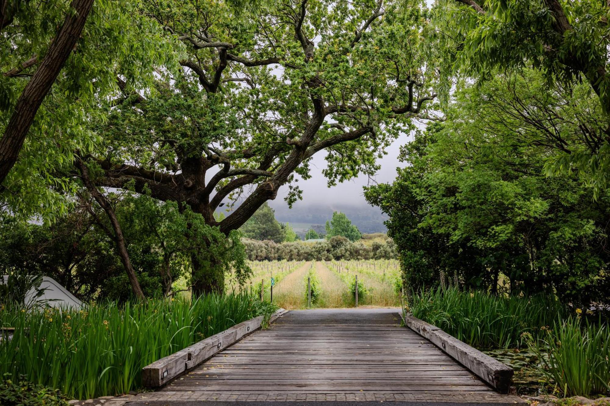 Отель Grande Provence Франсхук Экстерьер фото